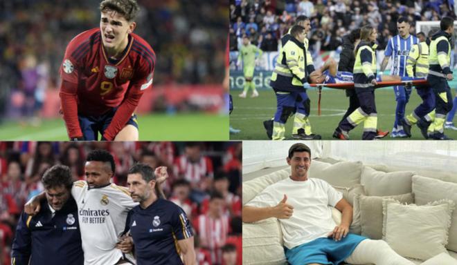 补体力分配 补体力分配